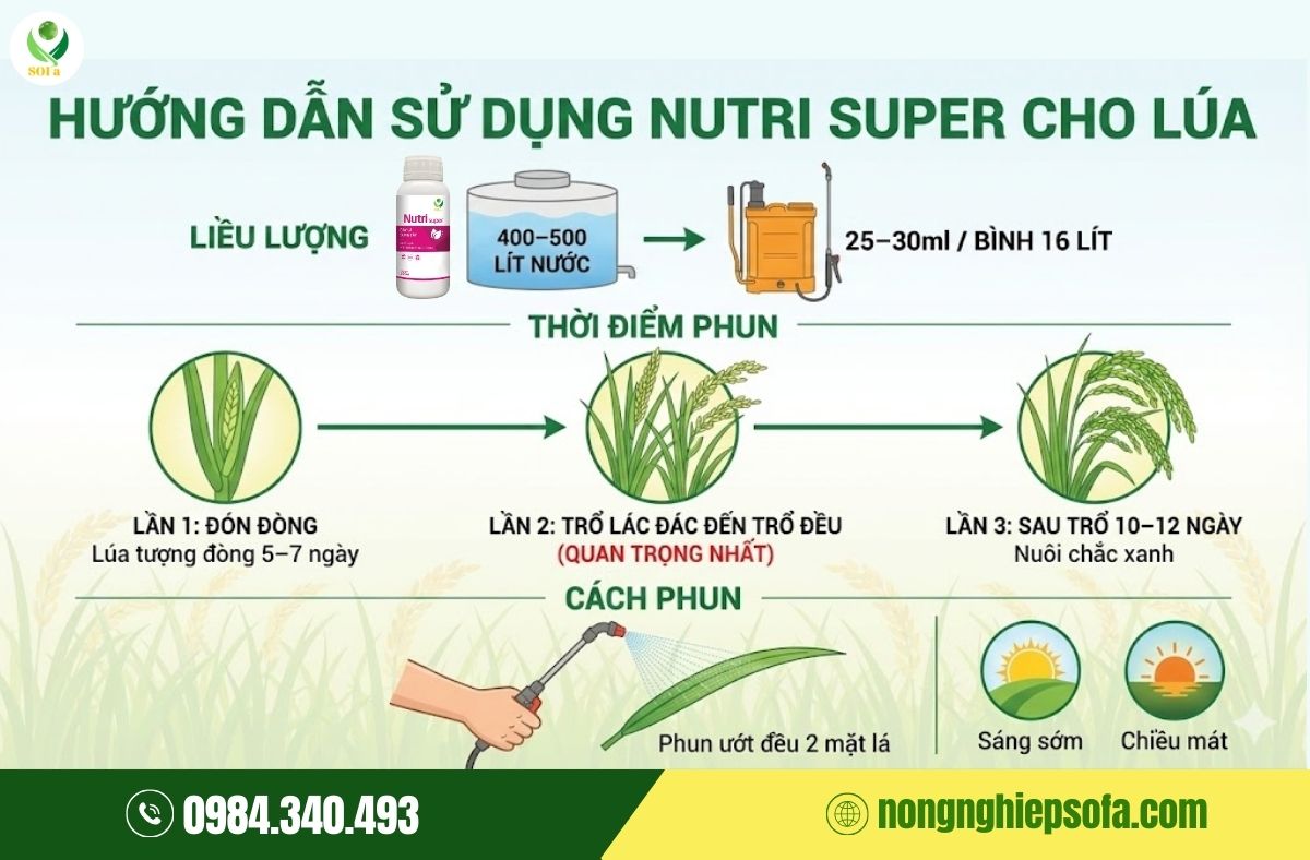 Bí quyết kích thích vô gạo, dưỡng xanh lá đòng, nâng cao năng suất lúa với Nutri Super 4 dưỡng lá xanh đòng