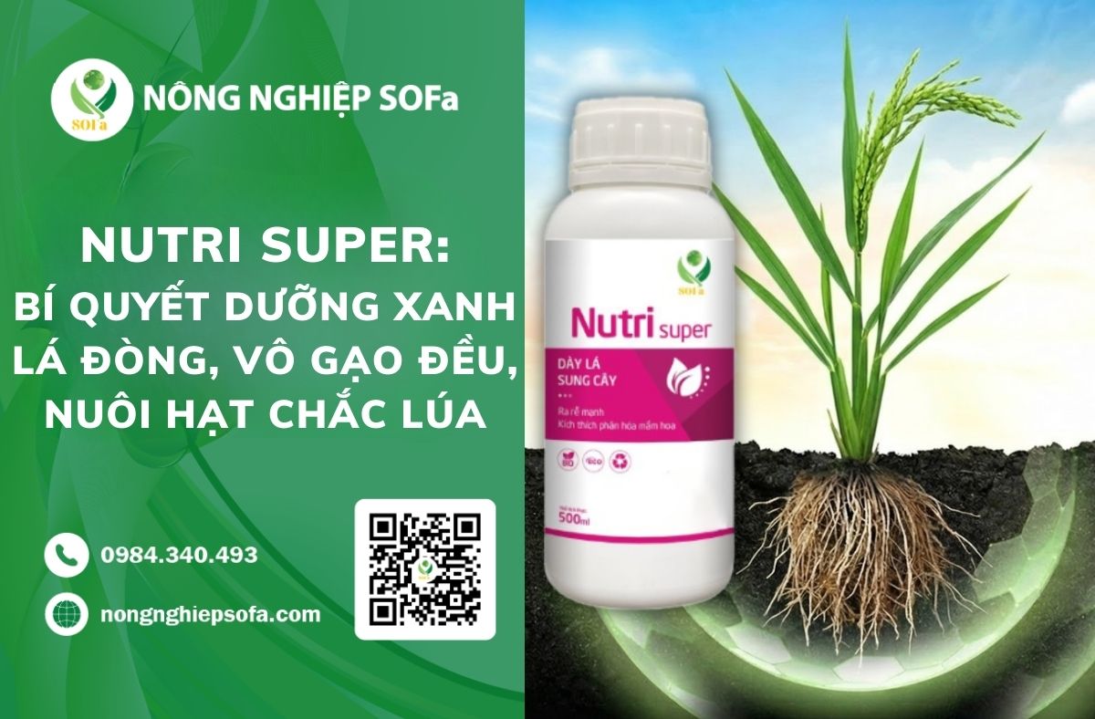 dưỡng xanh lá đồng