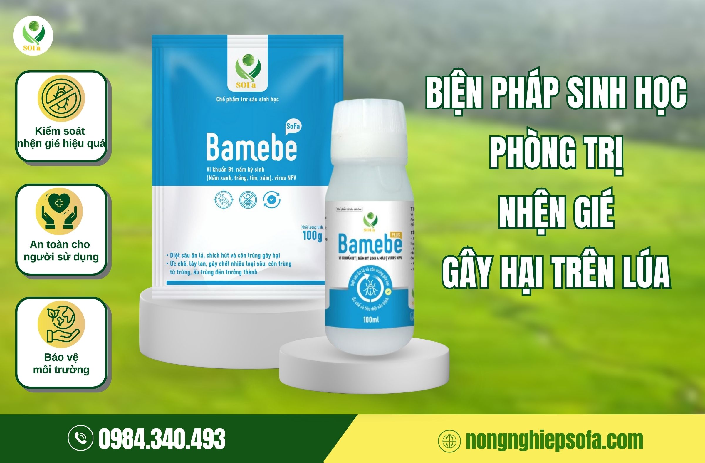 nhện gié gây hại lúa