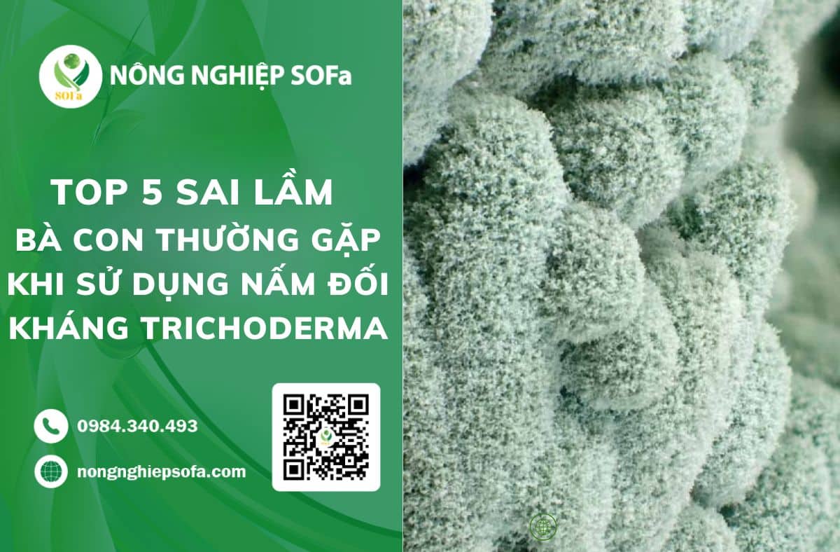 sử dụng nấm đối kháng trichoderma