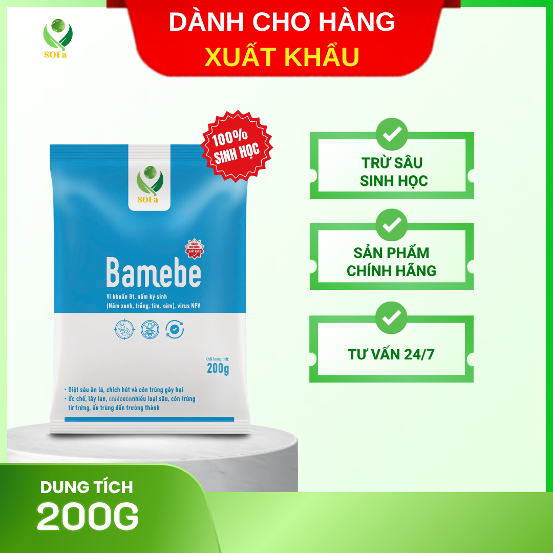 THUỐC TRỪ SÂU SINH HỌC BAMEBE XUẤT KHẨU – GIẢI PHÁP AN TOÀN CHO NÔNG SẢN TIÊU CHUẨN CAO 1 THUỐC TRỪ SÂU SINH HỌC BAMEBE XUẤT KHẨU – GIẢI PHÁP AN TOÀN CHO NÔNG SẢN TIÊU CHUẨN CAO