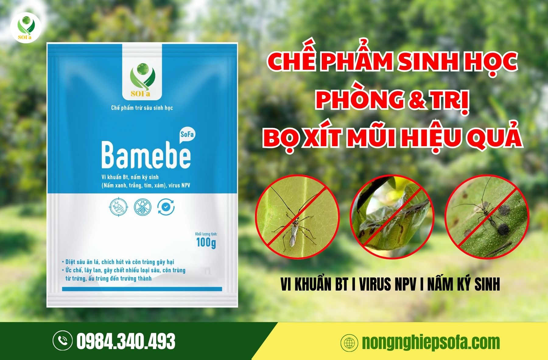 Bọ xít mũi hại sầu riêng