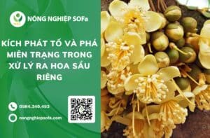 kích phát tố và phá miên trạng
