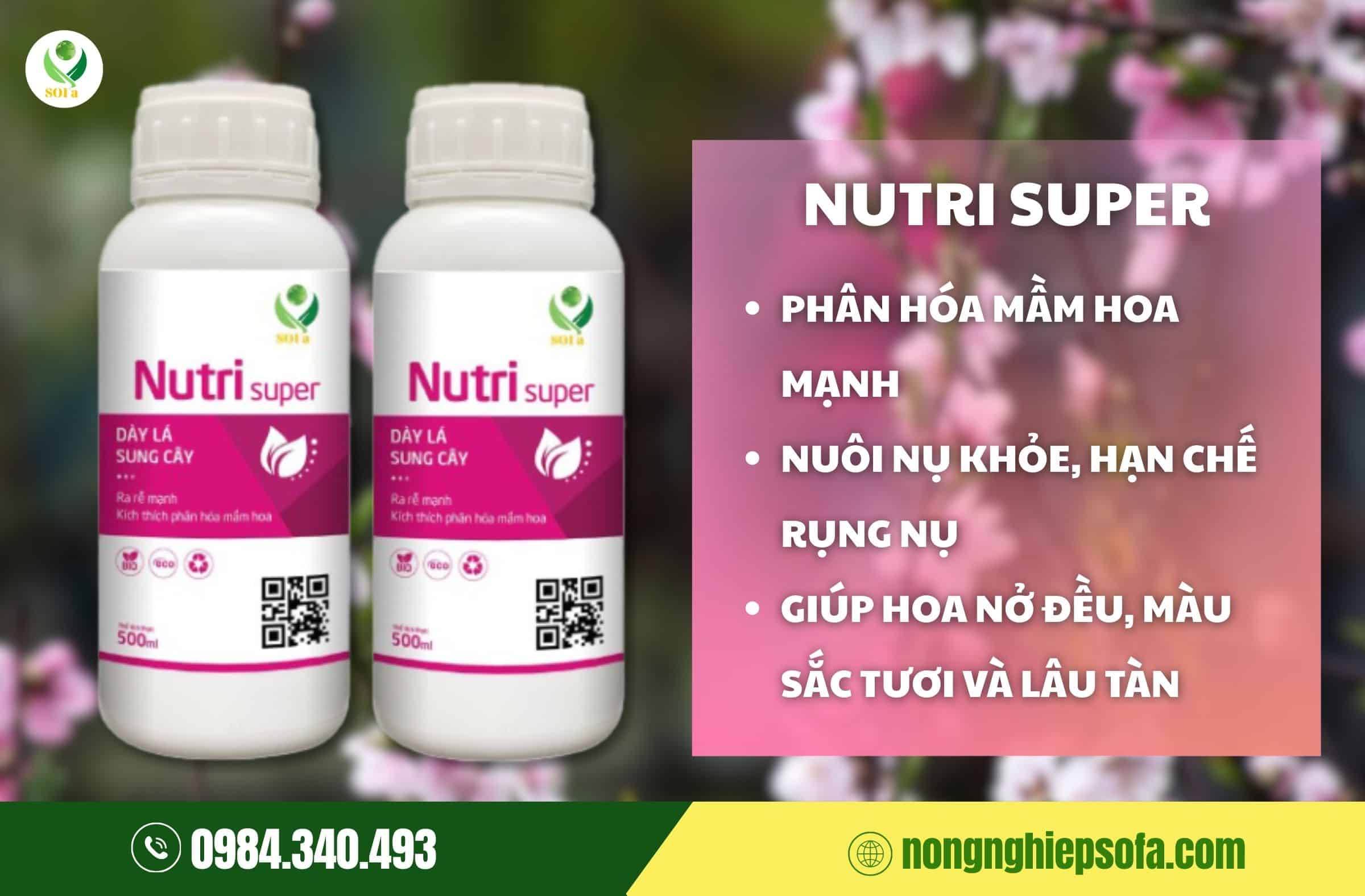 cách chăm sóc cây đào tết