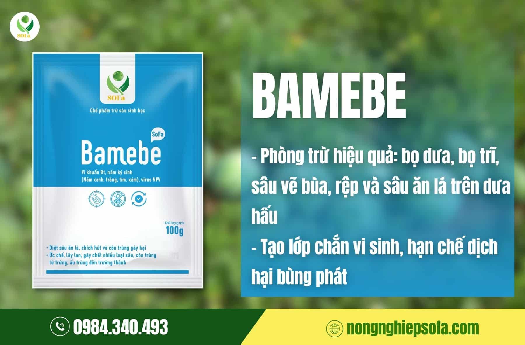 Hướng dẫn kỹ thuật trồng dưa hấu chi tiết từ A–Z cho năng suất cao 5 hướng dẫn kỹ thuật trồng dưa hấu