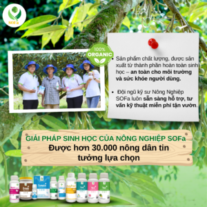 Dong hanh cung nha nong 38