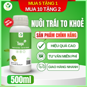 Dưỡng Trái Toqa SOFa – Dinh Dưỡng Cho Trái Giảm Rụng Trái Non, Trái To Đồng Đều
