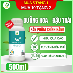 Dưỡng hoa đậu trái – kích hoa, nuôi trái to đều với Fura SOFa