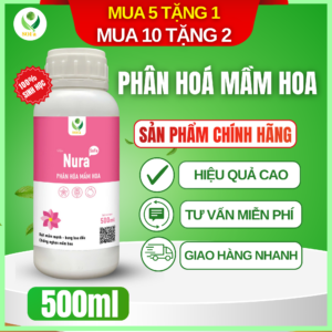 Phân hóa mầm hoa Nura SOFa – Giải pháp dưỡng mầm hoa sầu riêng, kích thích ra hoa đồng loạt