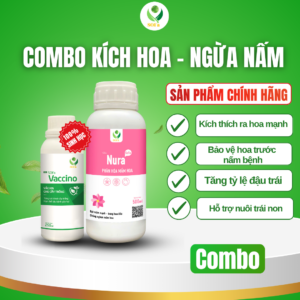 Combo kích hoa ngừa nấm