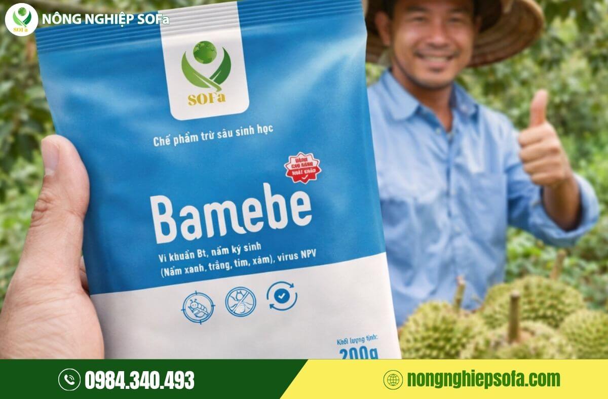 Cách trồng sầu riêng