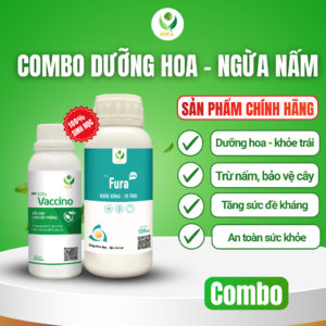 Combo dưỡng hoa ngừa nấm