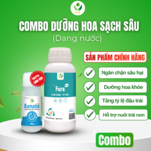 dưỡng hoa sạch sâu hại