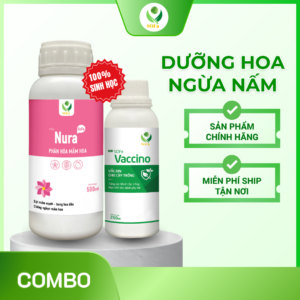 Combo Kích Hoa Ngừa Nấm – Giải pháp thúc đẩy ra hoa mạnh, bảo vệ hoa toàn diện
