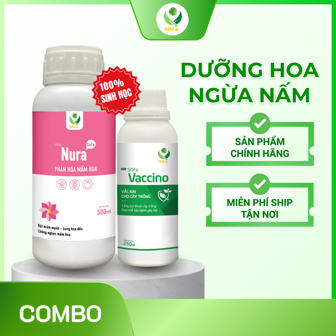 Combo Kích Hoa Ngừa Nấm – Giải pháp thúc đẩy ra hoa mạnh, bảo vệ hoa toàn diện 1 Combo Kích Hoa Ngừa Nấm – Giải pháp thúc đẩy ra hoa mạnh, bảo vệ hoa toàn diện