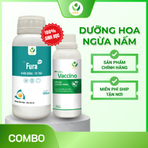 Combo Dưỡng Hoa Ngừa Nấm– Giải pháp bảo vệ hoa toàn diện và kiểm soát nấm bệnh hiệu quả