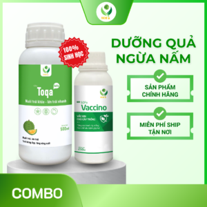Combo Dưỡng Quả Ngừa Thối Quả – Giải pháp bảo vệ trái toàn và ức chế nấm hại rễ hiệu quả
