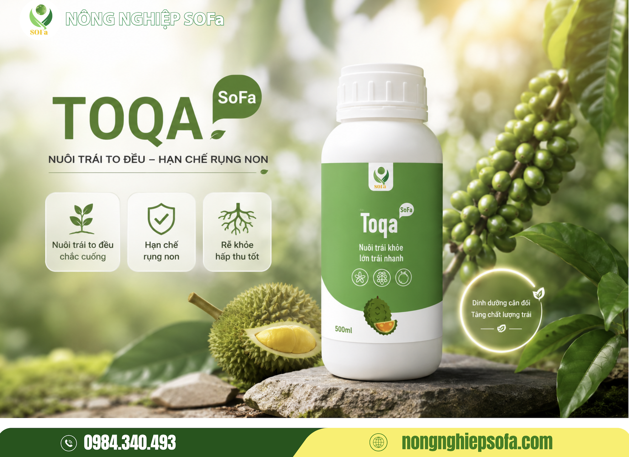 TOQA SOFa – Giải Pháp Hỗ Trợ Nuôi Trái To Đều, Hạn Chế Rụng Non