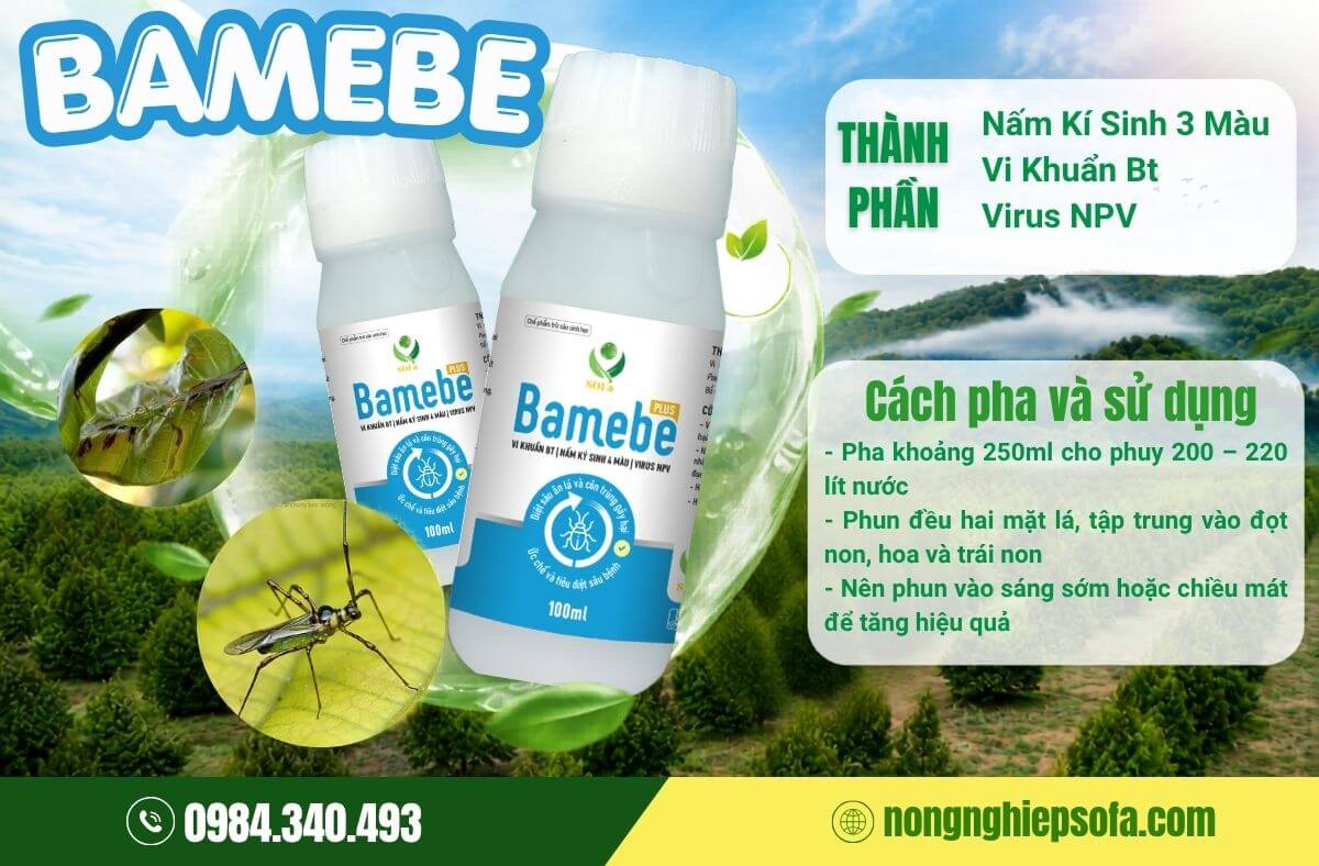 Bọ xít muỗi trên cây trồng và cách phòng trừ hiệu quả 5 Phòng trừ bọ xít muỗi bằng chế phẩm sinh học Bamebe