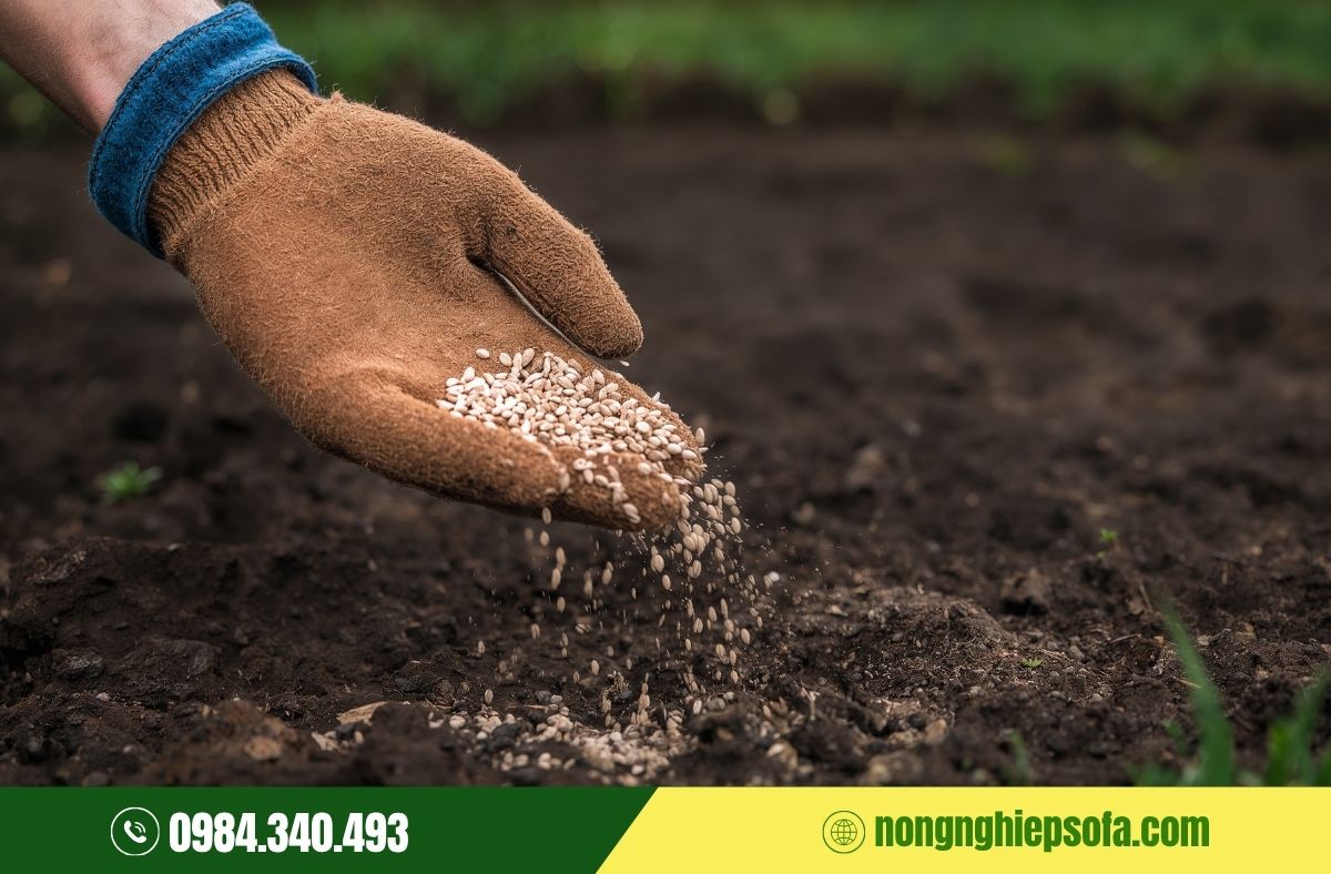 Cải tạo đất bằng phân bón hữu cơ