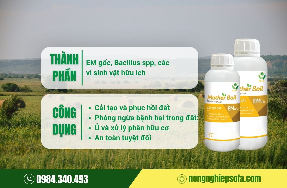 Chế phẩm sinh học Mother Soil (EM gốc) của SOFa- cải tạo đất bền vững và nâng cao hiệu quả canh tác