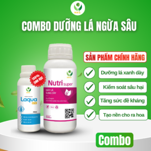 dưỡng lá ngừa sâu