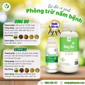 COMBO PHONG TRU NAM BENH 1