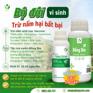 COMBO PHONG TRU NAM BENH 2