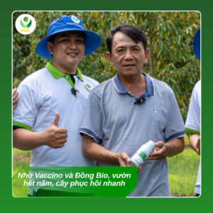 COMBO PHONG TRU NAM BENH 3