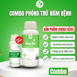 phòng trừ nấm bệnh