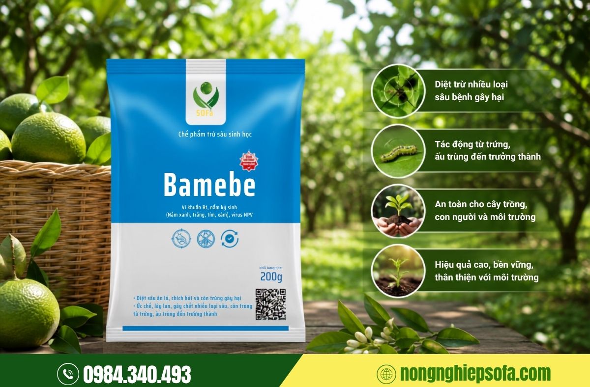 Bamebe- Phòng trừ và tiêu diệt sâu bệnh hại cây trồng hiệu quả