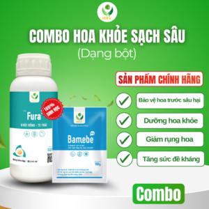 hoa khỏe sạch sâu