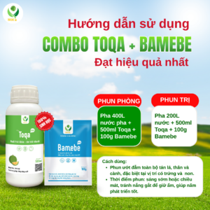 dưỡng trái sạch sâu