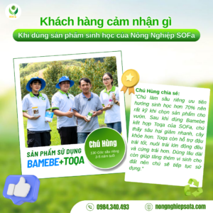 SAN PHAM SAN 2 2