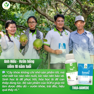 dưỡng trái sạch sâu