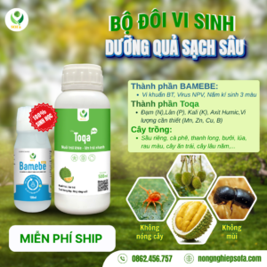 SAN PHAM SAN 4