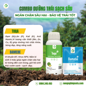 dưỡng trái sạch sâu