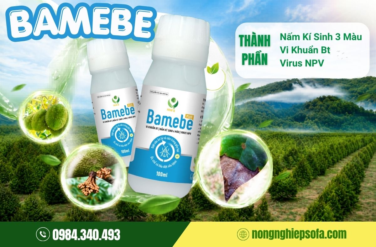  BAMEBE-Thuốc trừ sâu ăn lá an toàn hiệu quả