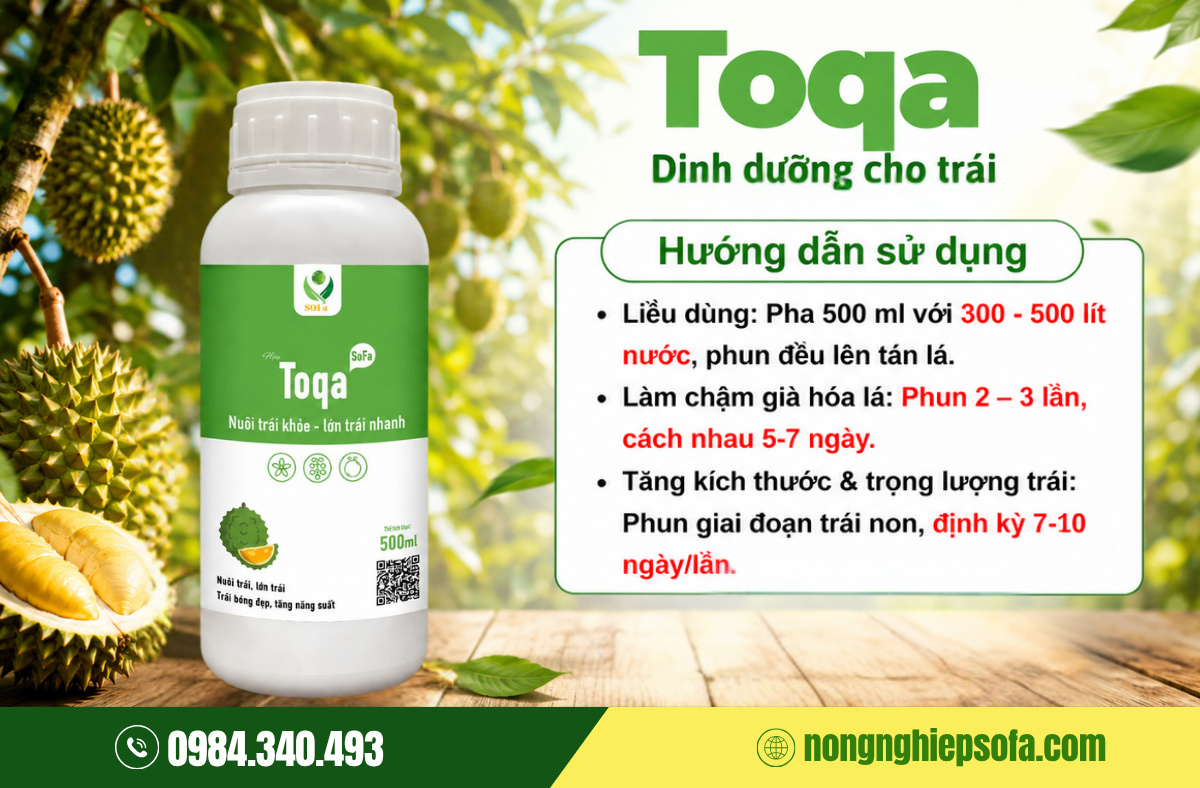 CHẤT VÀNG O TRONG SẦU RIÊNG CÓ TÁC DỤNG GÌ? 4 CÁCH KHẮC PHỤC 3 han-che-vang-o-trong-sau-rieng