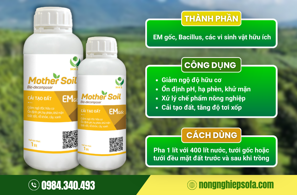 Giải pháp giúp kiểm soát và giảm cadimi trong vườn sầu riêng