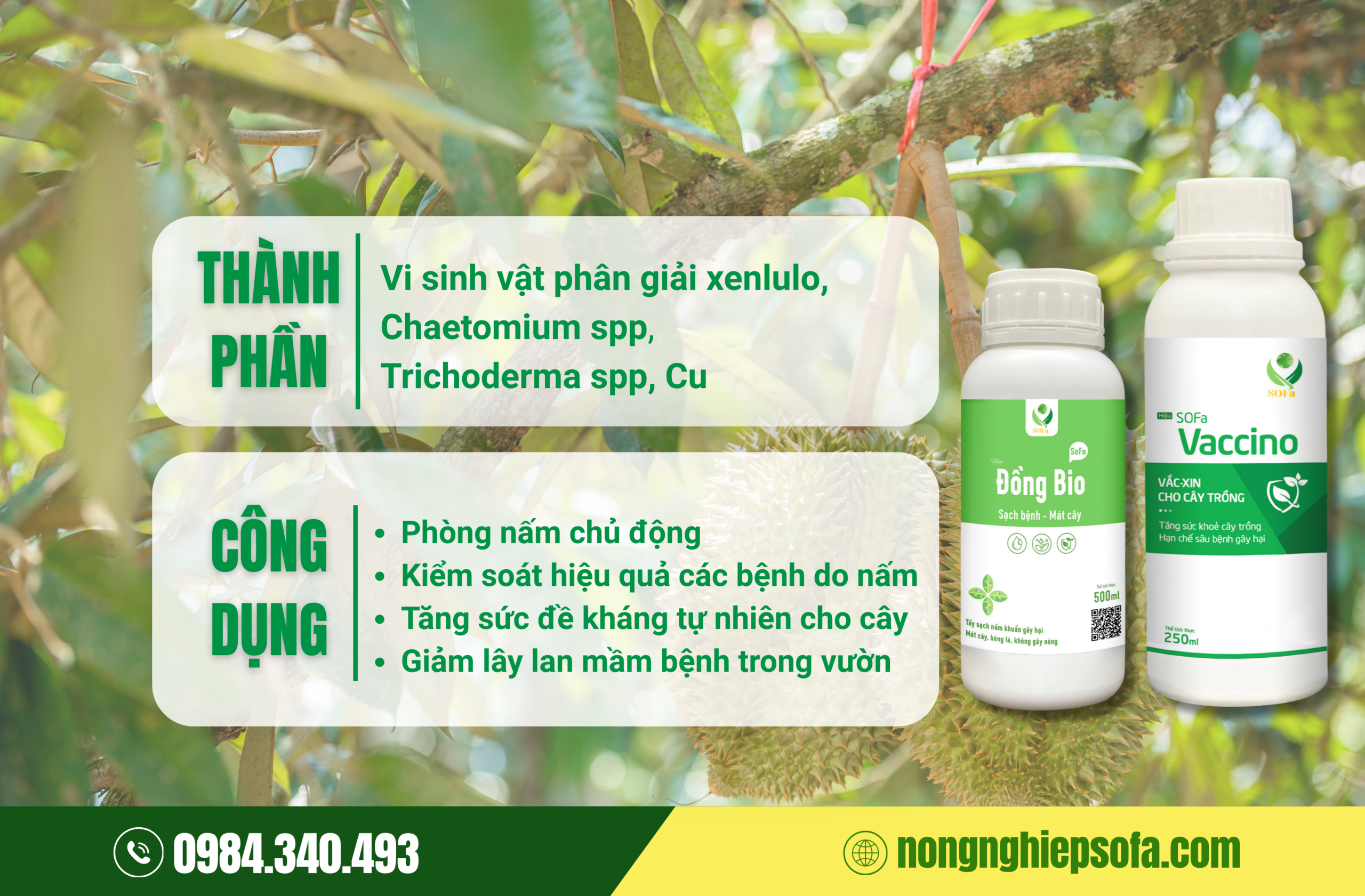 Combo phòng trừ nấm bệnh SOFa Vaccino + Đồng Bio