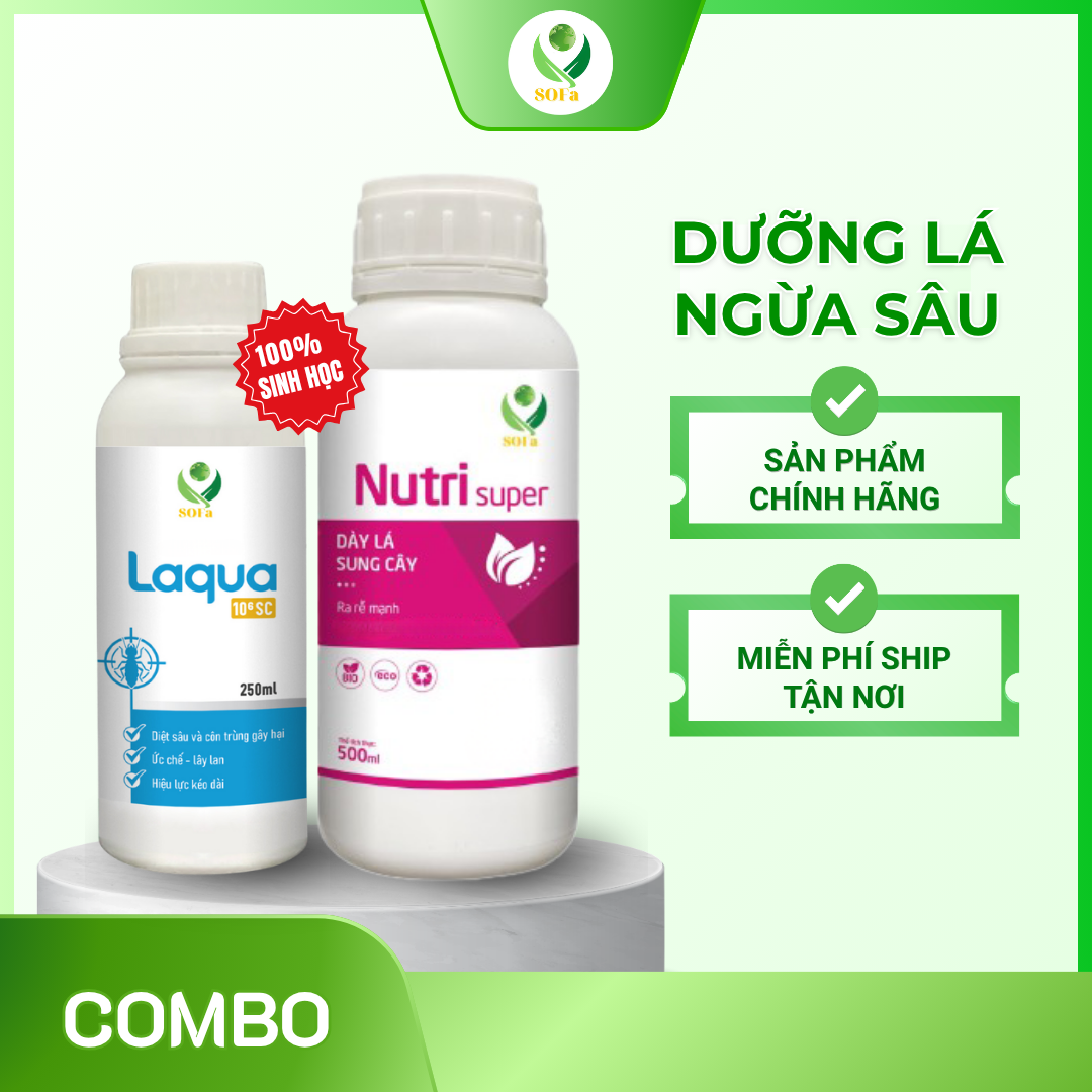Combo Dưỡng Lá Ngừa Sâu – Giải pháp xanh lá khỏe chỉ sau 72 giờ, hạn chế sâu hại hiệu quả 1 Combo Dưỡng Lá Ngừa Sâu – Giải pháp xanh lá khỏe chỉ sau 72 giờ, hạn chế sâu hại hiệu quả