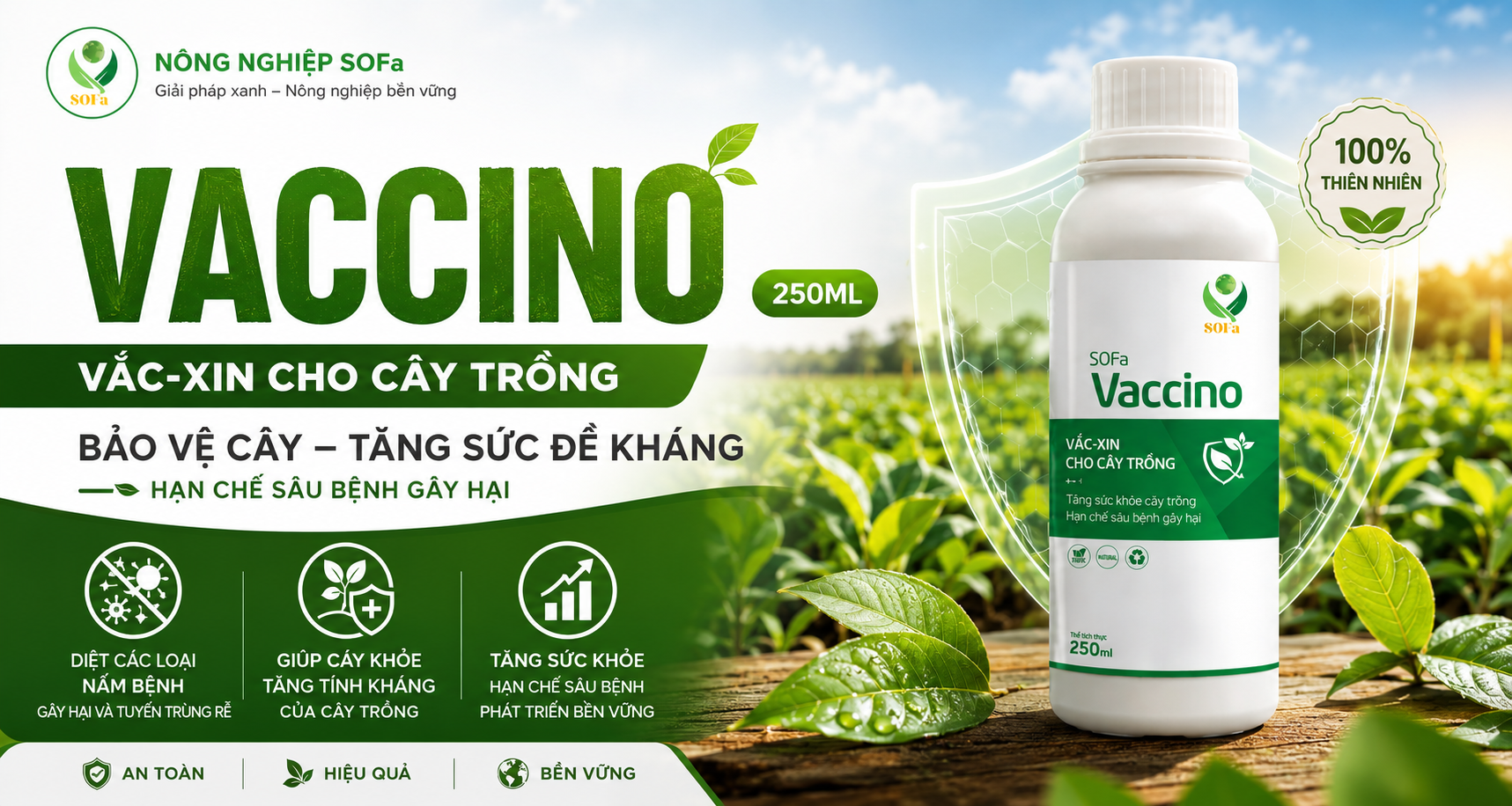 Giải Pháp Sinh Học Hỗ Trợ Phòng Và Trị Nấm Phytophthora