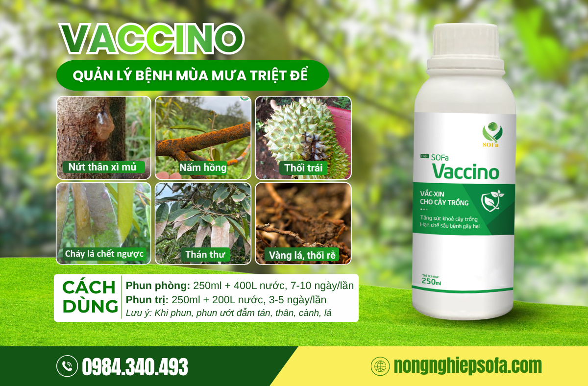 che-pham-tru-nam-sinh-hoc-vaccino