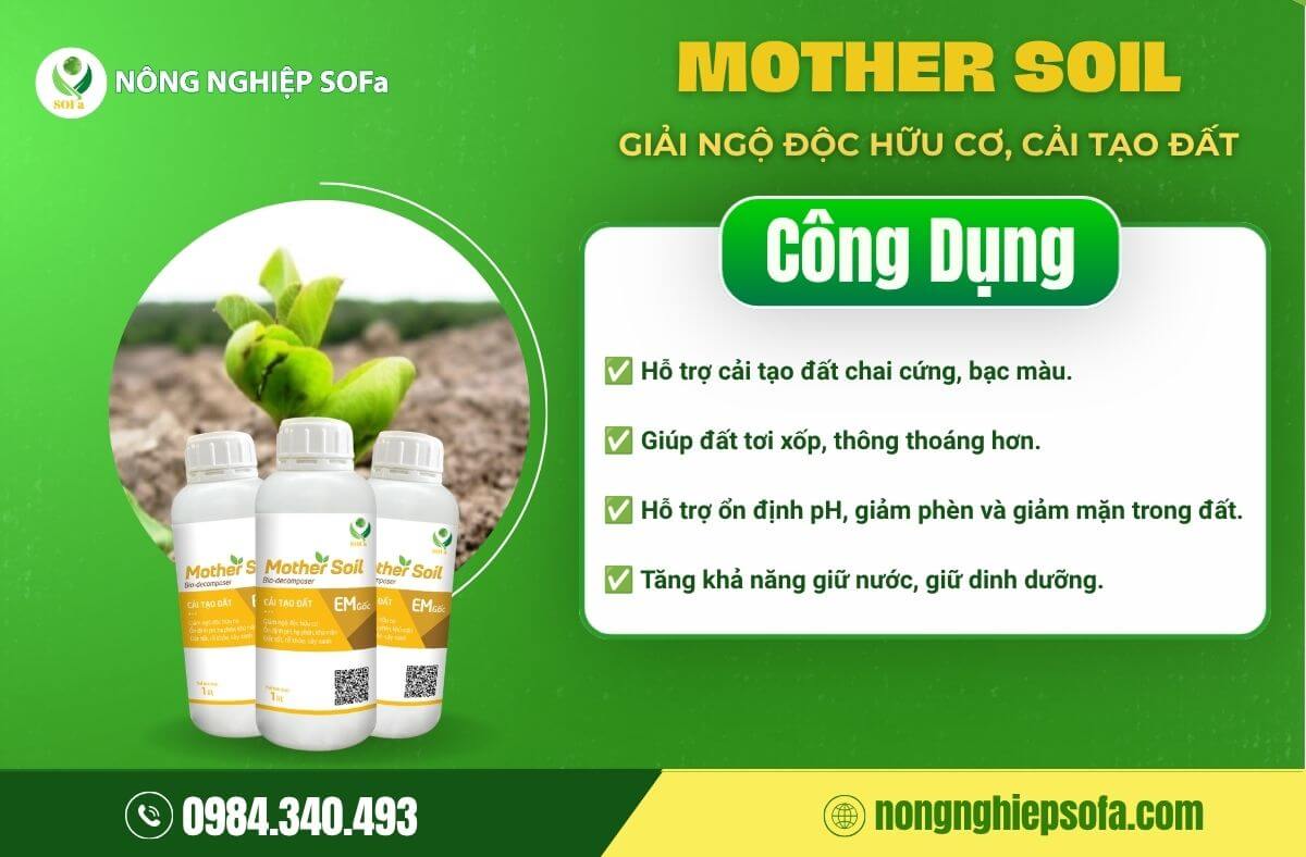 chỉ số EC trong đất