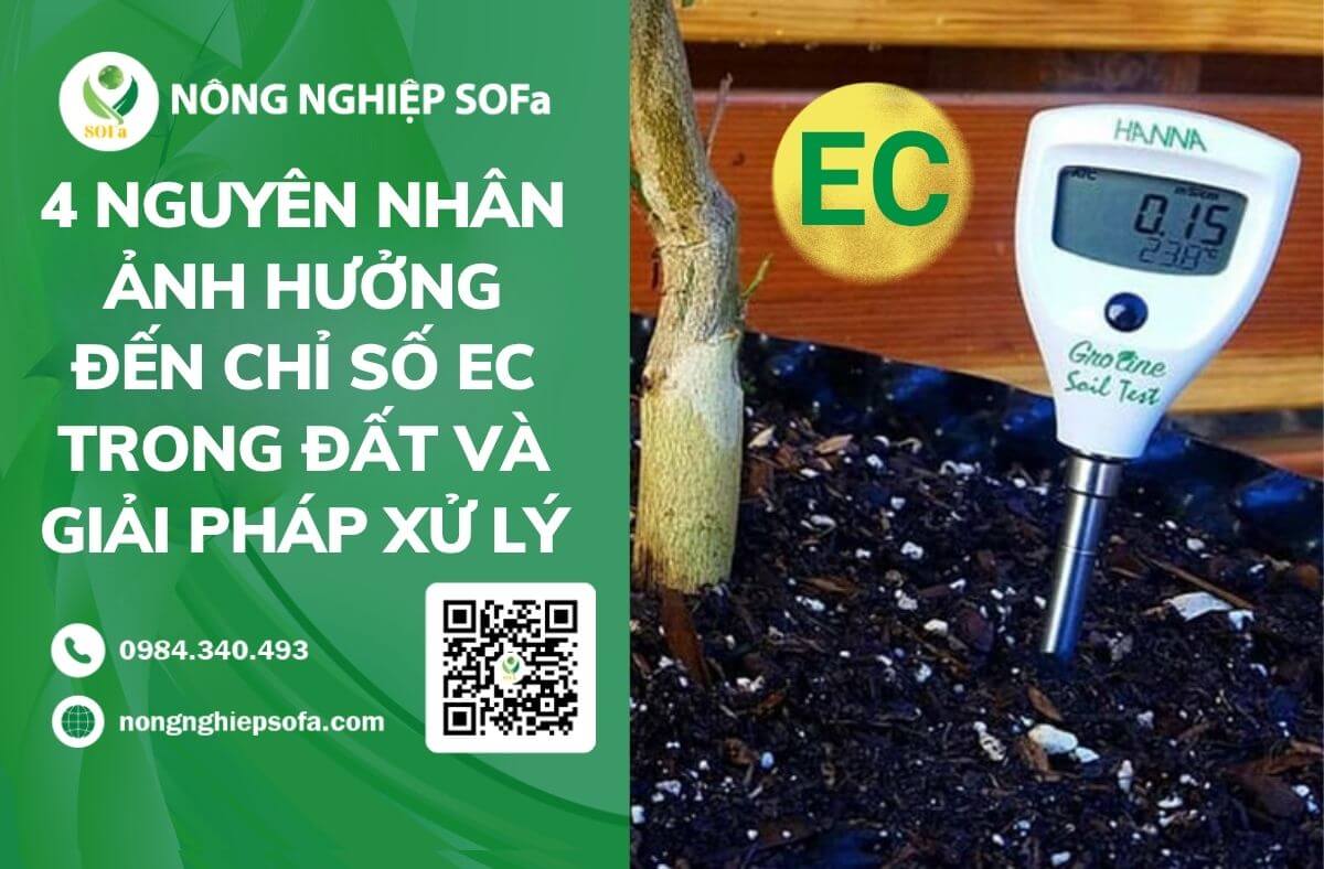 CHỈ SỐ EC TRONG ĐẤT