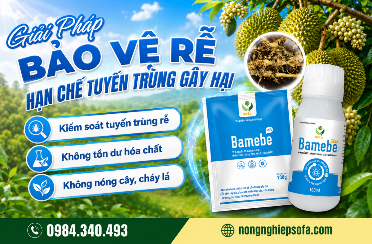 thuoc-tri-tuyen-trung-re