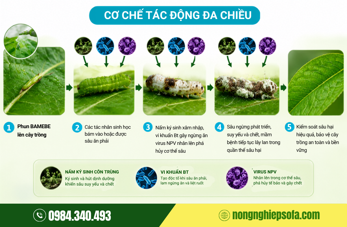 Giá thuốc trừ sâu sinh học Bamebe hiệu quả Top 1 2 tru-sau-sinh-hov-bamebe