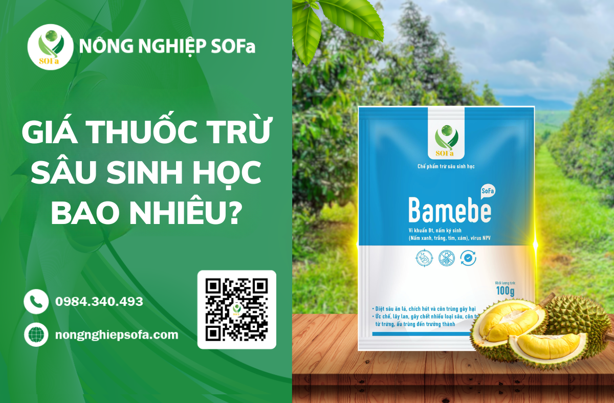 Gia thuoc tru sau sinh hoc Bamebe hieu qua Top 1