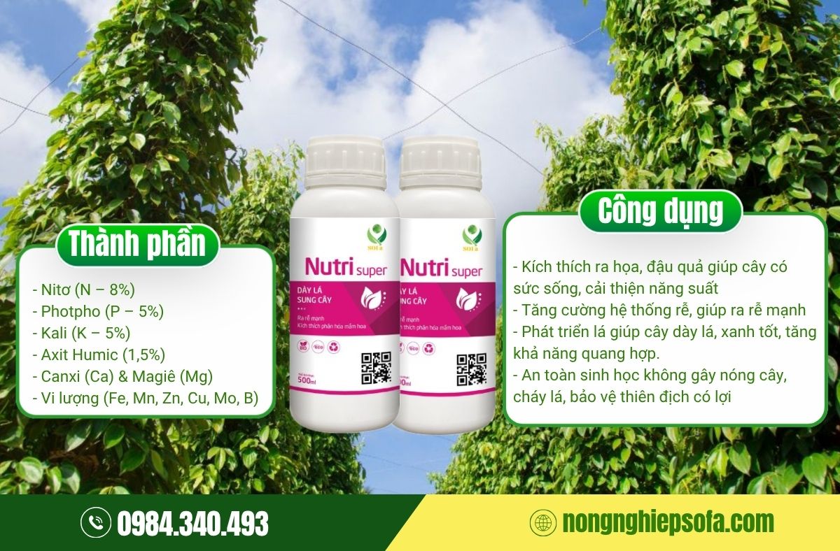 Kỹ thuật làm bông hồ tiêu hiệu quả cao 5 Làm bông hồ tiêu